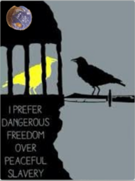 thumbnail of Dangerous freedom___.PNG