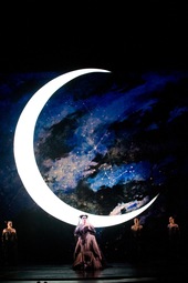 thumbnail of queen of the night magic flute  moon.JPG