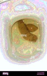 thumbnail of Fp6ZGcDGRyrwl3fhsPq.jpg
