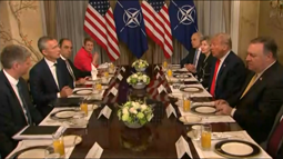 thumbnail of Trump on NATO and rus gas.mp4