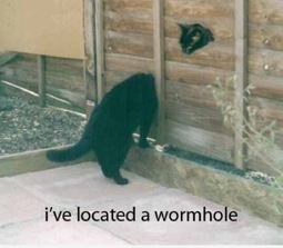 thumbnail of located-a-wormhole.jpg