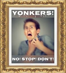 thumbnail of Yonkers No Stop Dont.jpg