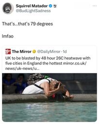 thumbnail of brit heat wave.jpg