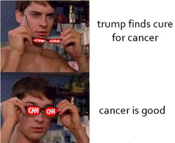 thumbnail of trump-cure-cancer-good-cnn-fake.png
