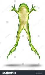 thumbnail of stock-photo-frog-jumping-up-in-the-air-as-a-dynamic-green-amphibian-on-a-white-background-in-an-animated-action-106111469.jpg