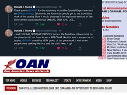 thumbnail of Moves and Countermoves 11032019 OANN.png