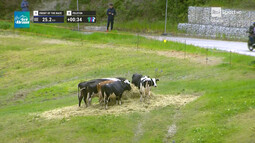 thumbnail of mpv-shot0047.jpg
