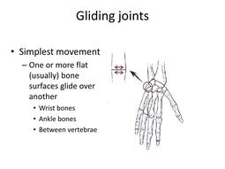 thumbnail of gliding-joints (simplest movement).jpg