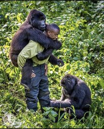 thumbnail of virunga-park-rangers-protecting-orphaned-mountain-gorillas1-1.jpg