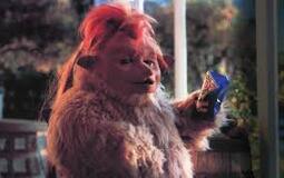 thumbnail of gobbledok.jpg