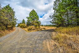 thumbnail of fork-road-dirt-direction-preview.jpg