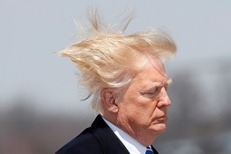 thumbnail of trump-hair.jpg