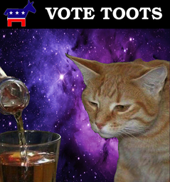 thumbnail of dem-vote-toots.jpg