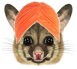 thumbnail of Swami Possum.png