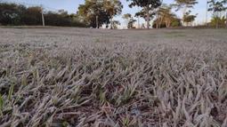 thumbnail of frost in Brasília.jpg