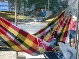 thumbnail of man sleeps in a hammock at a bus stop in Salvador.jpg