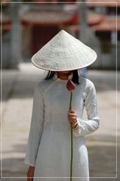 thumbnail of 603cf10af204d383272cd90f6ee8633d--beautiful-vietnam-asia-travel.jpg
