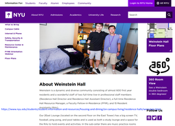 thumbnail of weinstein hall nyu.png
