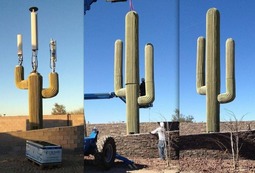 thumbnail of 5g cactus 1.jpg