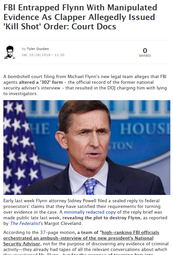 thumbnail of Flynn article Zerohedge 10262019.png