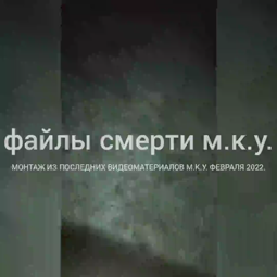 thumbnail of druzhba.mp4