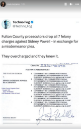 thumbnail of mol.mccann_Sydney_Powell_overcharged.PNG