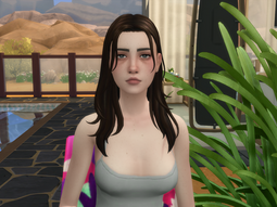 thumbnail of ts4  (4).png