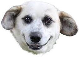thumbnail of images (8).jpeg