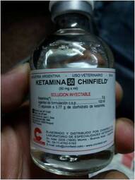 thumbnail of Ketamina incautada1.jpg