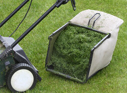 thumbnail of Bagging-grass-OI_mini.jpg