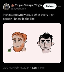 thumbnail of irish meme.jpg