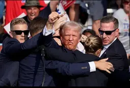 thumbnail of triumphant trump 3.webp