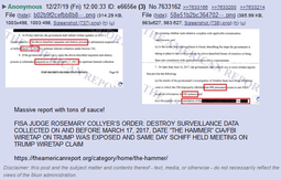 thumbnail of FISA Collyer order destroy surveillance data.png