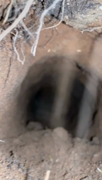 thumbnail of hole.mp4