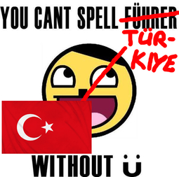 thumbnail of without Ü-türkiye.jpg