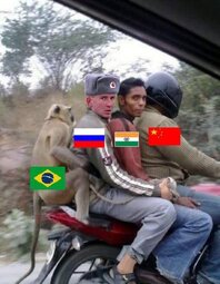 thumbnail of BRICS.jpg