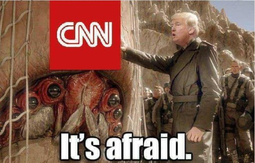 thumbnail of cnn-afraid.png