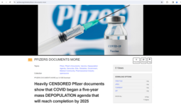 thumbnail of PFIZERS DOCUMENTS MORE.png