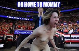 thumbnail of Go Home To Mommy.jpg