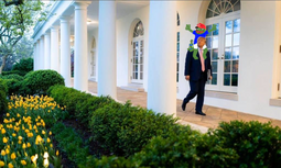 thumbnail of wh spring pepe.png