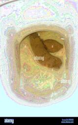 thumbnail of ke6KhO2C4.jpg
