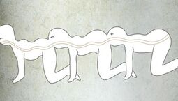 thumbnail of human_centipede.jpg