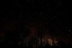 thumbnail of nature-black-dark-night-sky-stars-trees-silhouette.jpg