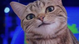 thumbnail of .jpg