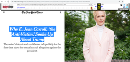 thumbnail of Endchan news E Jean Carroll discusses with friends New York Times article wayback.png