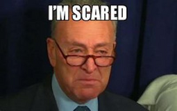 thumbnail of im scared schumer.png