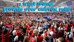 thumbnail of Trust Trump Crowds.png