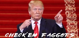 thumbnail of trump_checkem_faggots.jpg