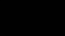 thumbnail of 5011.mp4