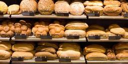 thumbnail of bread rows.jpg
